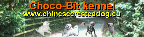 Choco-Bit Kennel